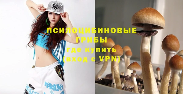 твердый Волоколамск
