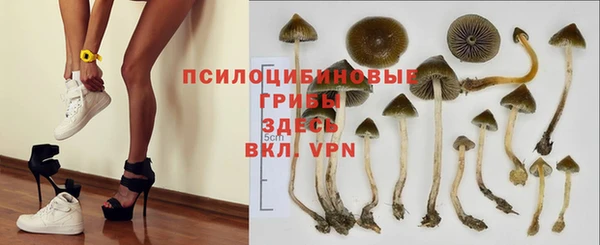 твердый Волоколамск