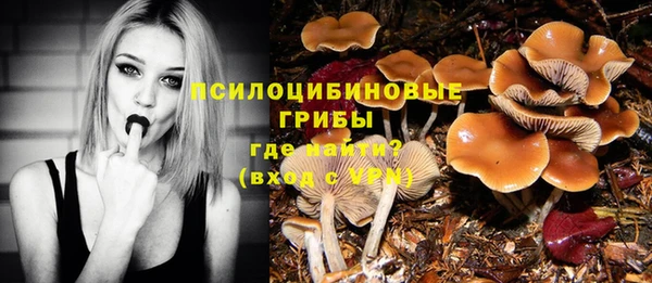 твердый Волоколамск