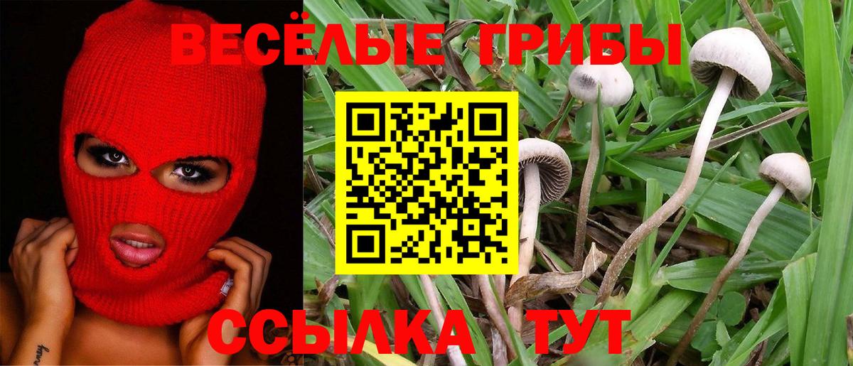 Рузаевка  Галлюциногенные грибы GOLDEN TEACHER  Вход с VPN  Галлюциногенные грибы MAGIC MUSHROOMS 